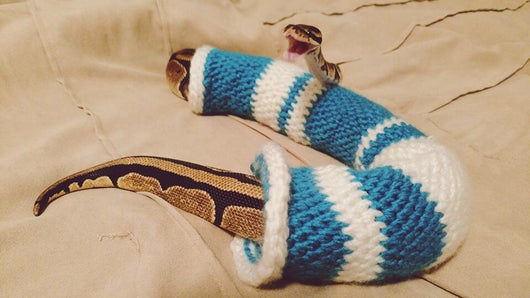 Snek Sweater